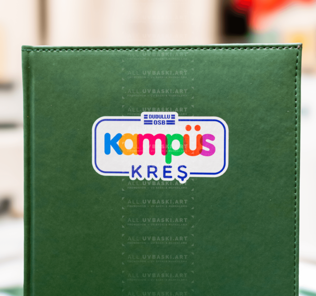 Profesyonel İş İmajı