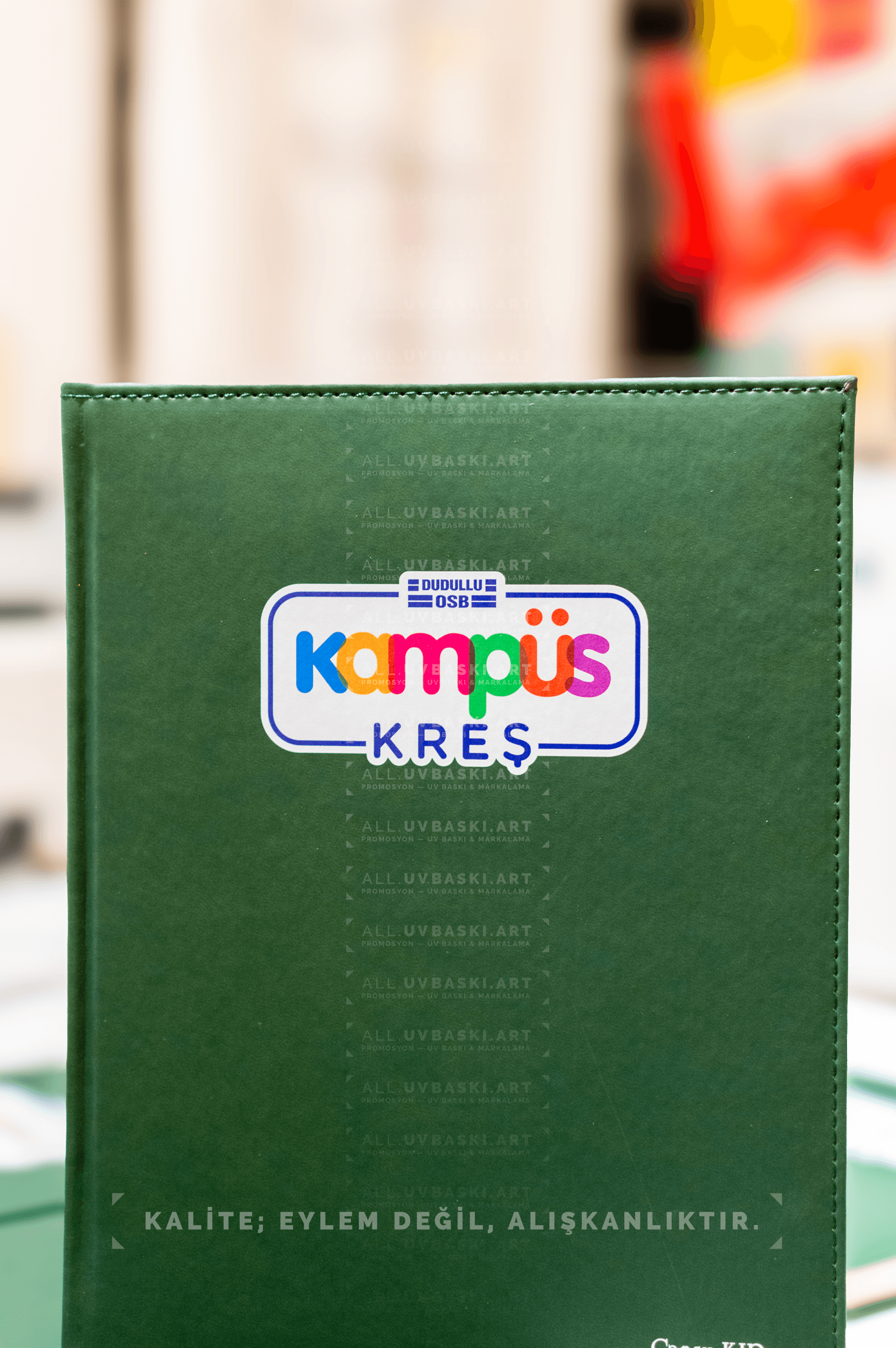 Profesyonel İş İmajı