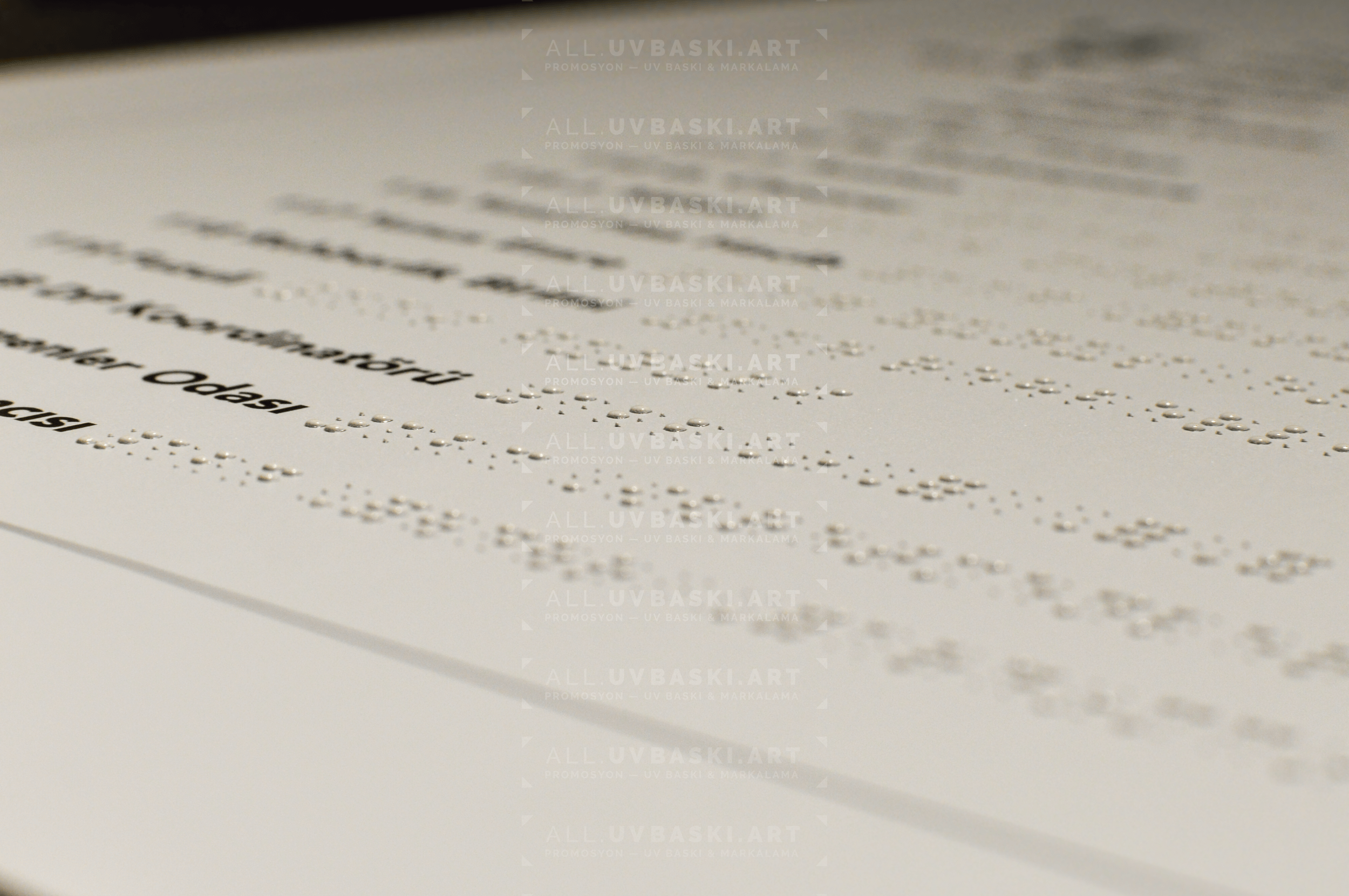 Üniversite kat yönlendirmesi, Braille, Latin alfabesi, minimalist, beyaz zemin, siyah yazı